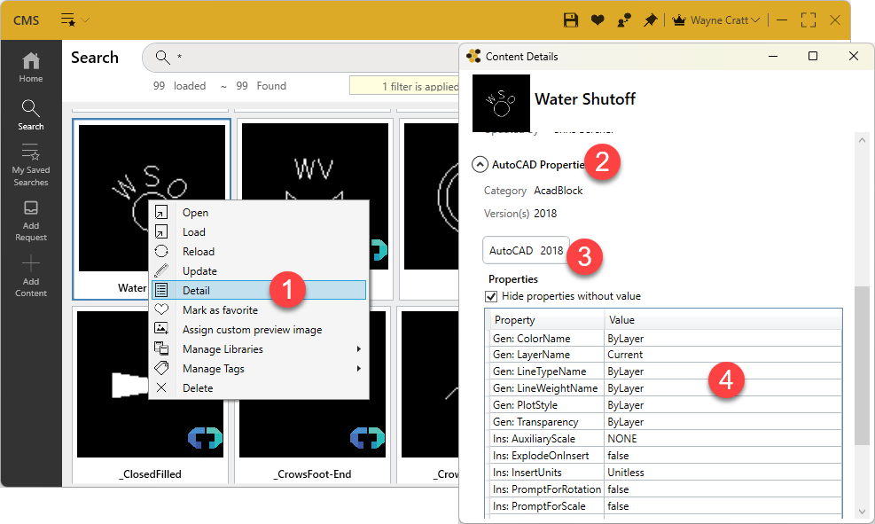 using CMS with AutoCAD image